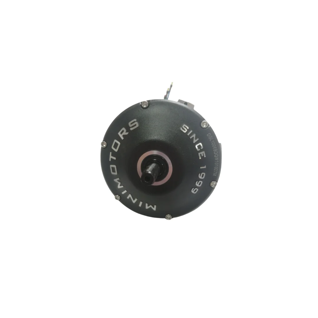 Dualtron Togo Motor 02.205.00081
