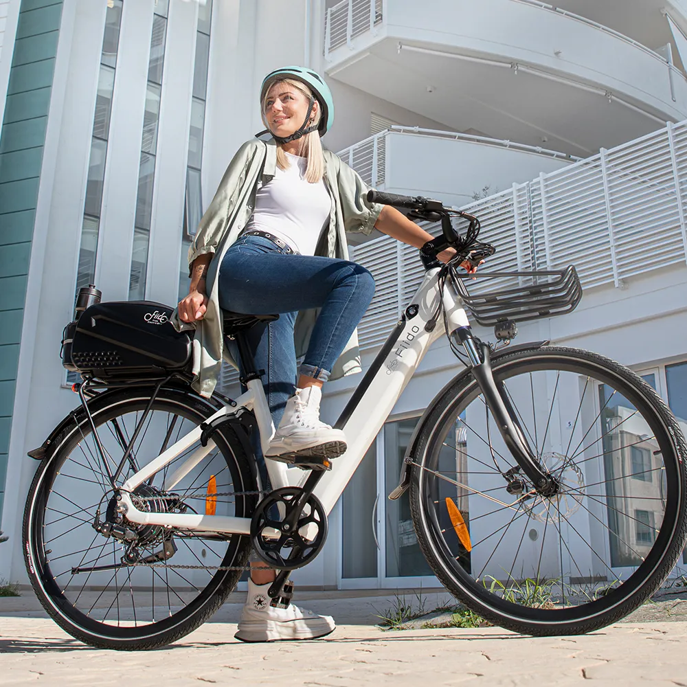 Fiido C11 E-Bike - Image 5