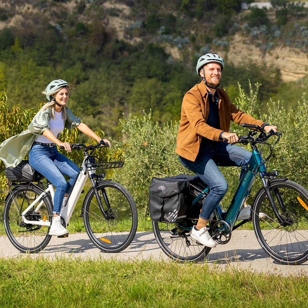 Fiido C11 E-Bike - Image 6