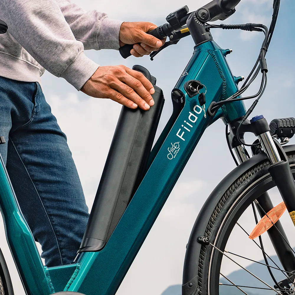 Fiido C11 E-Bike - Image 7