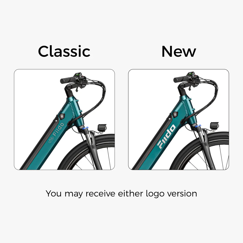 Fiido C11 E-Bike - Image 9