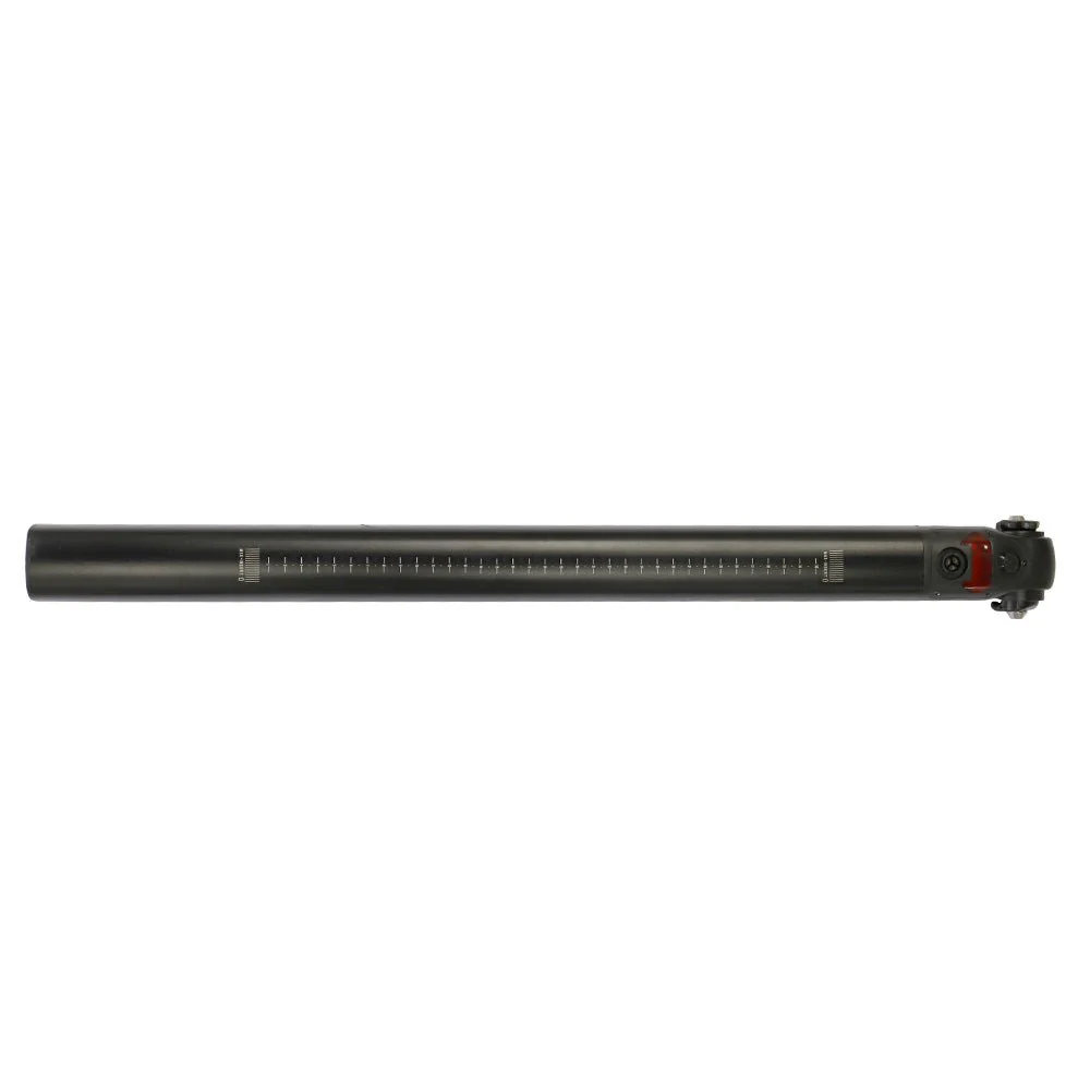 Fiido D11 Battery