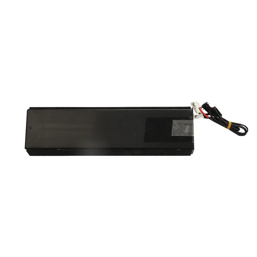 Fiido D2 Battery