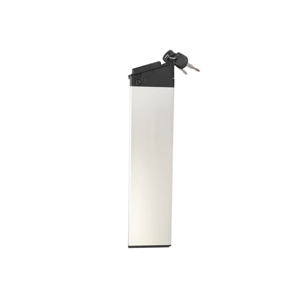 Fiido M1 Battery