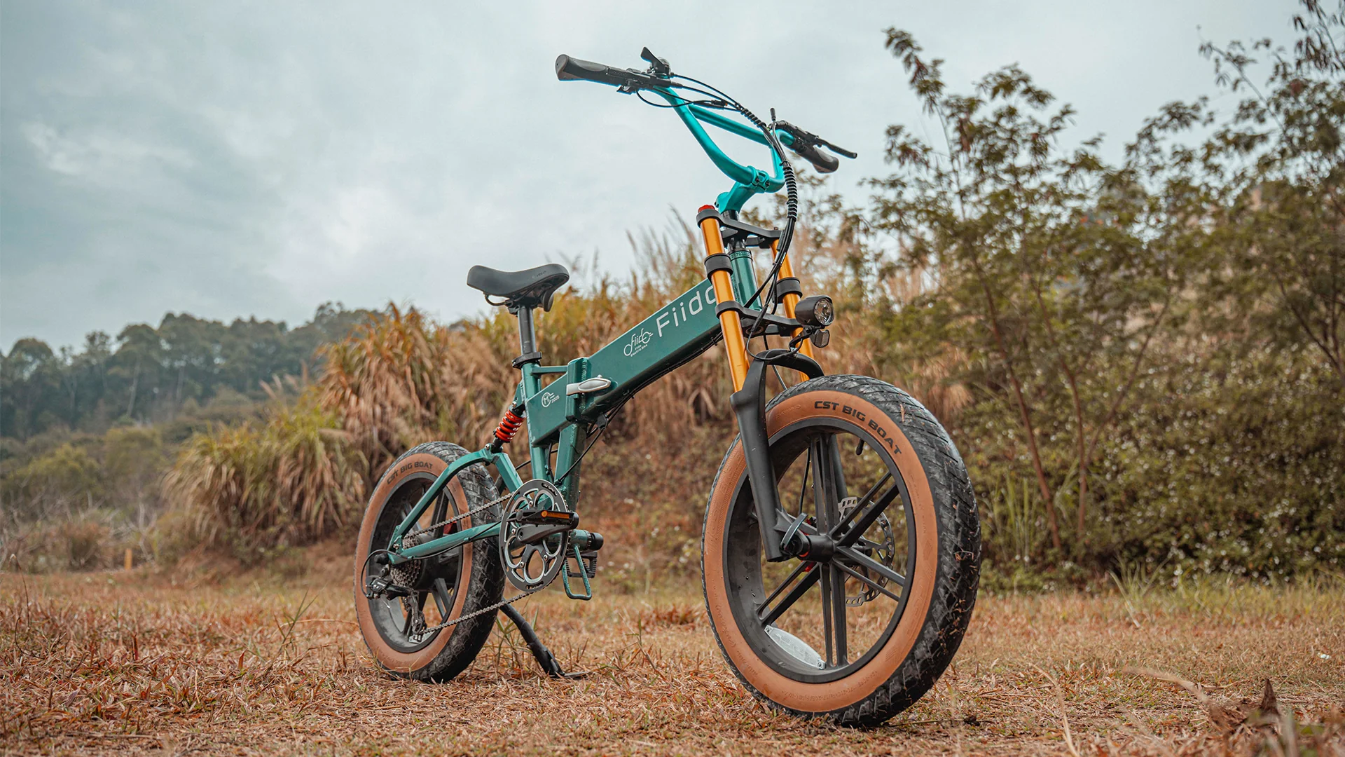 Fiido M1 Pro Electric Bike - Image 5