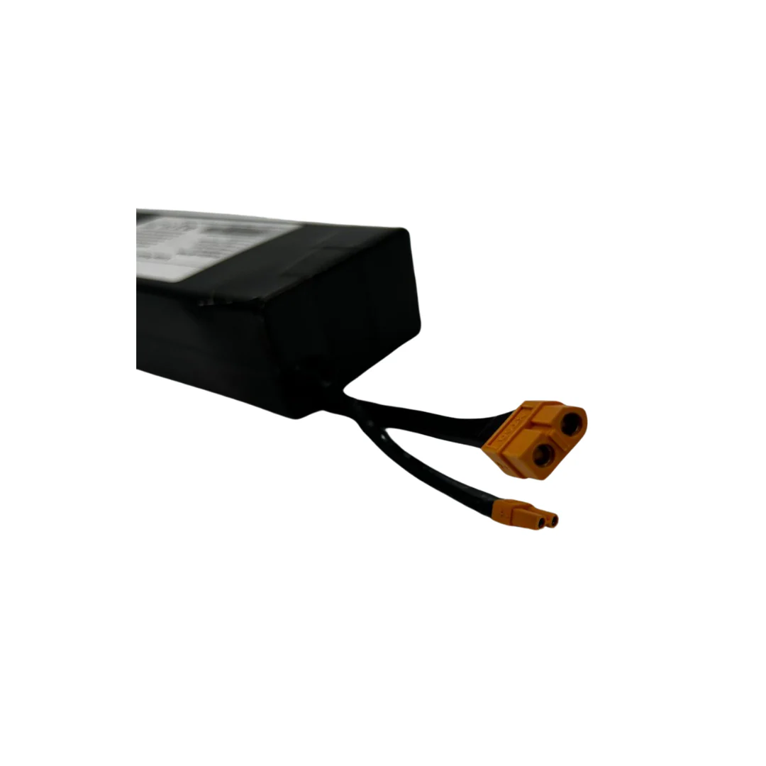 Kugoo S1 Pro Battery - Image 2